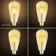 7W Dimmable LED (50W eq.) Vintage Filament Edison Light Bulb, 2200K Extra Warm White, ST21 Antique Shape
