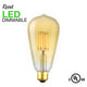 7W Dimmable LED (50W eq.) Vintage Filament Edison Light Bulb, 2200K Extra Warm White, ST21 Antique Shape