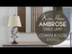 Video: Ambrose 31