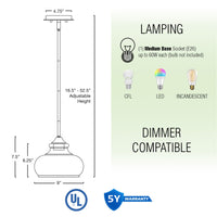 Harlow 9" Modern Industrial Farmhouse / Schoolhouse / Rustic Pendant Light