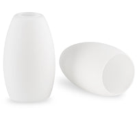 Coast 7" Frosted Oval Glass Shades / Replacement Glass, 2-Pack