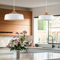 Riley 16" Retro Modern Pendant Light