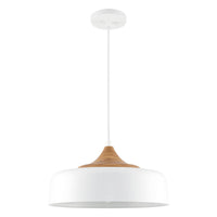 Riley 16" Retro Modern Pendant Light